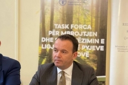 Task Forca për Mbrojtjen e Pyjeve miratoi Planin e Veprimit për parandalimin e prerjeve ilegale
